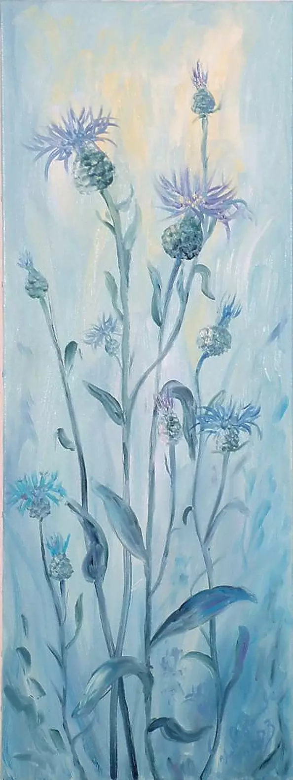 Urszula Nieborak - Chabry