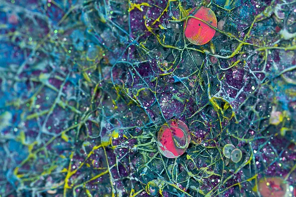 Pamela Rys - Cosmic Waves