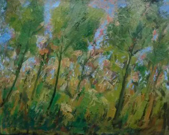 Mario Zampedroni - Country landscape 