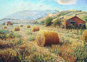   - Rural Landscape in summer