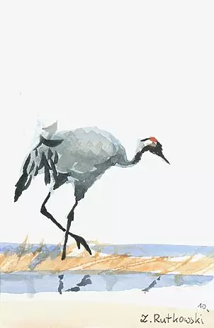 Zdzisław Rutkowski - crane III