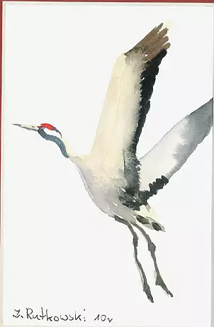 Zdzisław Rutkowski - Żuraw IV