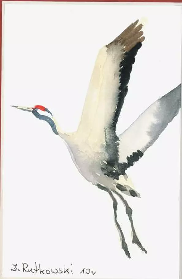 Zdzisław Rutkowski - Żuraw IV