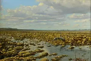 Wojciech Górecki - Cranes