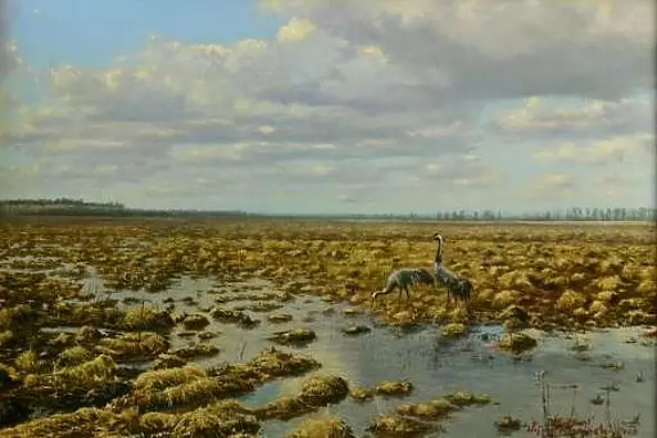 Wojciech Górecki - Cranes