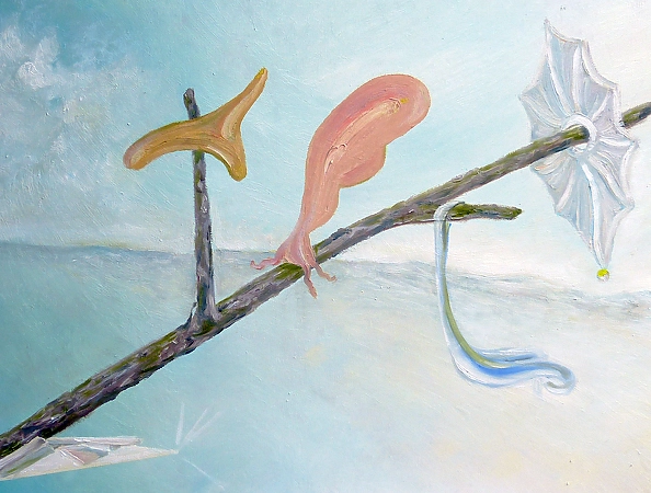 Elżbieta Goszczycka - Cuda na kiju