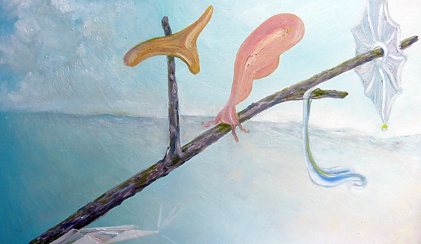 Elżbieta Goszczycka - Cuda na kiju