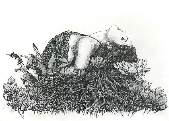 Agnieszka Osak - Cykle życia