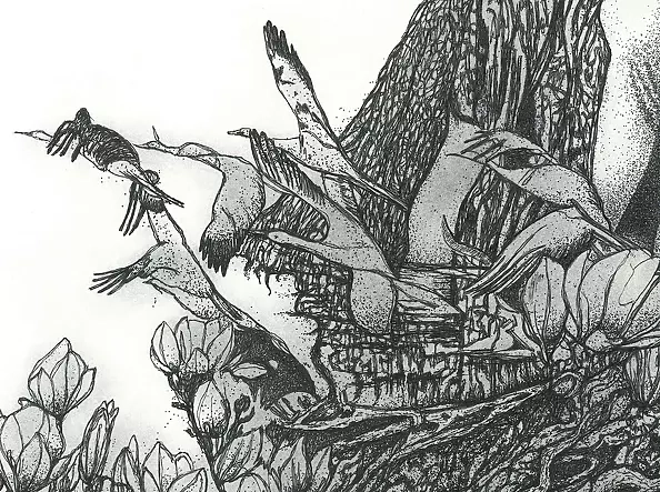 Agnieszka Osak - Cykle życia