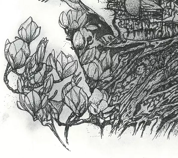 Agnieszka Osak - Cykle życia