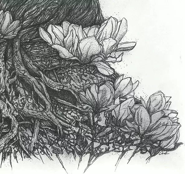 Agnieszka Osak - Cykle życia