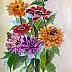 Ewa Zakrzewska - Zinnias
