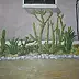 Elżbieta Goszczycka - giardino cipriota con cactus - giardino di Cipro con cactus