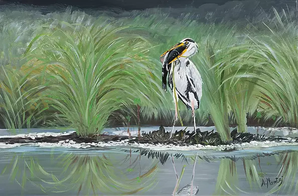 Agnieszka Mantaj - Heron