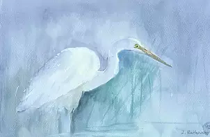 Zdzisław Rutkowski - Czapla biała