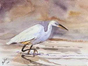 Zdzisław Rutkowski - Great Egret