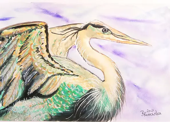 Bożena Ronowska - Czapla
