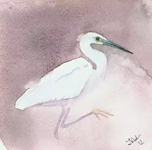 Zdzisław Rutkowski - Czapla nadobna