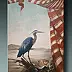 Renata Wypych - Heron