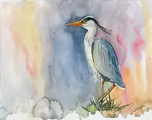 Zdzisław Rutkowski - Heron II