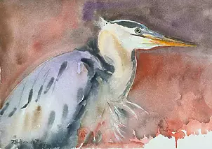 Zdzisław Rutkowski - Czapla siwa
