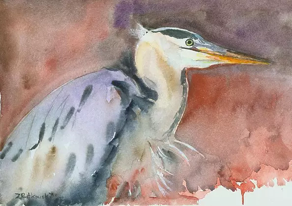 Zdzisław Rutkowski - Grey Heron