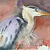 Zdzisław Rutkowski - Grey Heron
