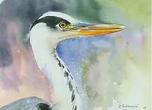 Zdzisław Rutkowski - Grey Heron