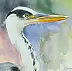 Zdzisław Rutkowski - Grey Heron