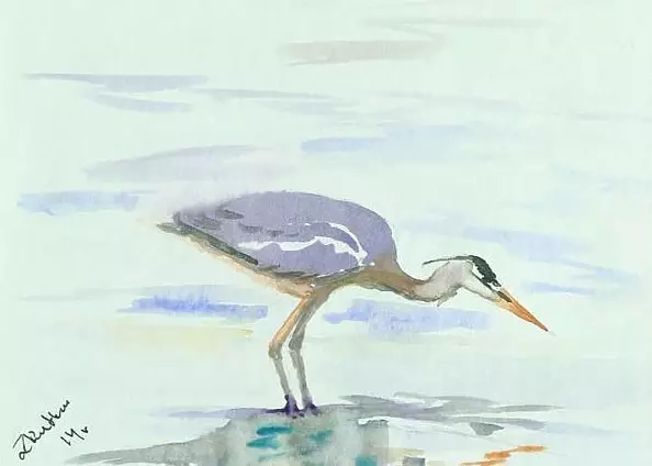 Zdzisław Rutkowski - Czapla siwa