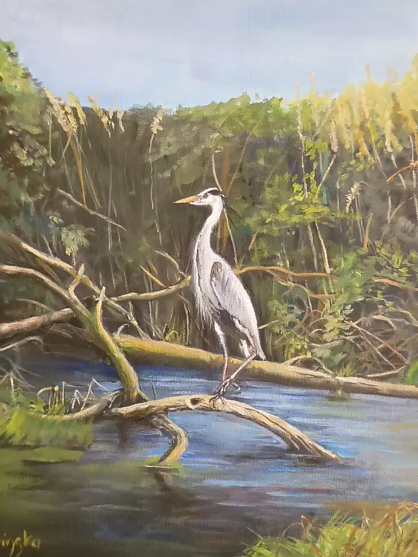Urszula Wasinska - Heron in the rushes