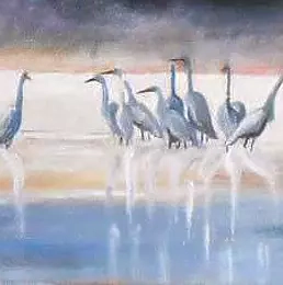 Cecylia Dąbrowska - White herons