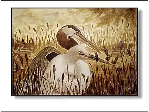 Jolanta Dusza - herons