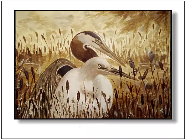 Jolanta Dusza - herons