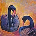 Dorota Goleniewska Szelągowska - Black swans