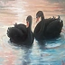 Danuta Zgoł - Black Swans