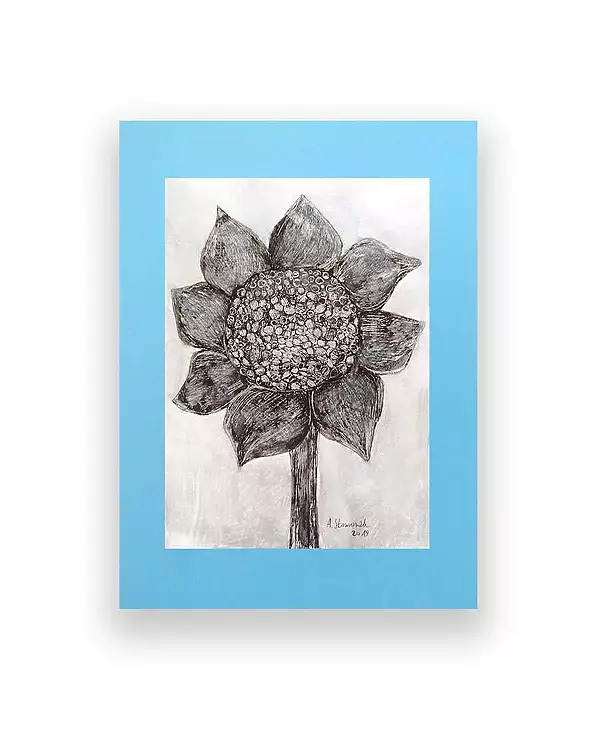 Anna Skowronek - Czarno biały rysunek słonecznik