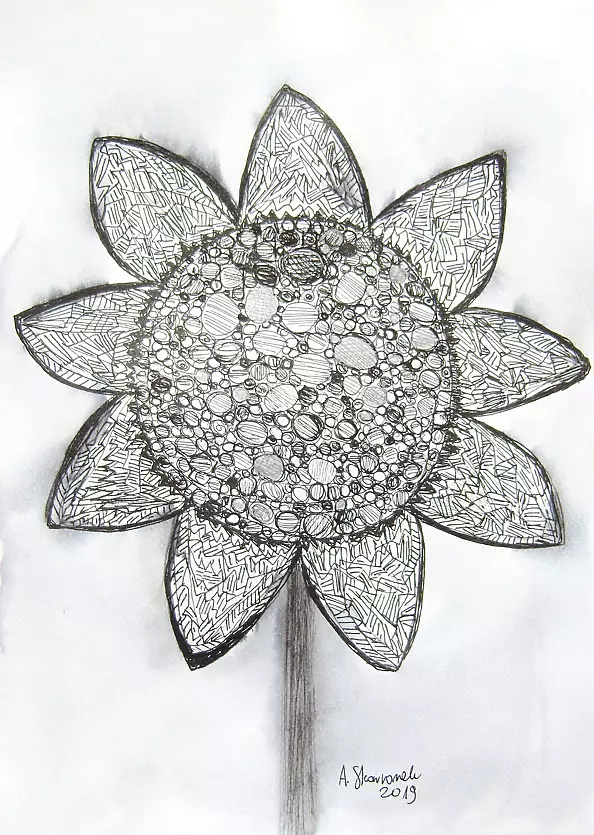 Anna Skowronek - Czarno biały szkic słonecznik