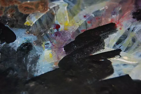 Amelia Augustyn - Black