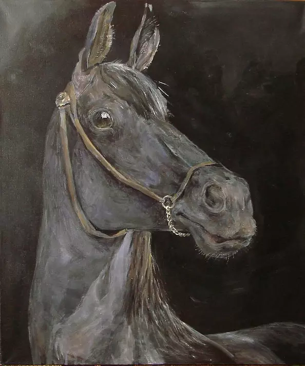 Maria Rutkowska - Czarny koń