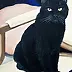 Nataliya Bagatskaya - Black Cat on a Yellow Sofa