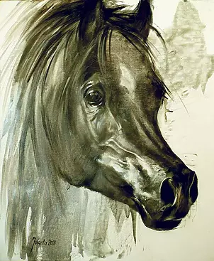 Jolanta Kalopsidiotis - Czarny ogier