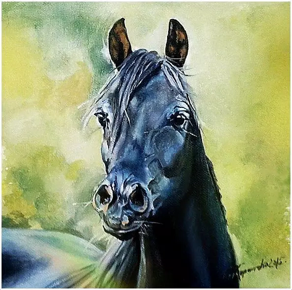 Teresa Kopańska - black wind