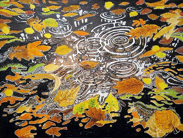 Angelika Mus Nowak - What can you learn from a puddle?