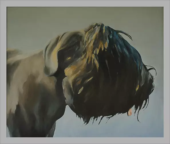 Konrad Knorowski - Czekam