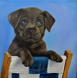 Magdalena Iwanowska - chocolate labrador