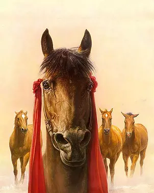 Marzena Zuk - Champion