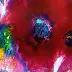 Marzena Salwowska, Papavero Rosso 3/Erba e Fiore, Acquerelli, Altre, Velatura, Dipinto acrilico, Tecniche miste, Inchiostro - carta, 30 x 21