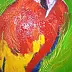 Iwona Molecka - Red Macaw