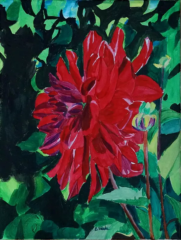 Ewa Słodzińska - Red Dahlia